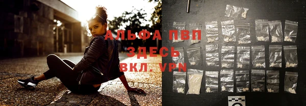 2c-b Инсар