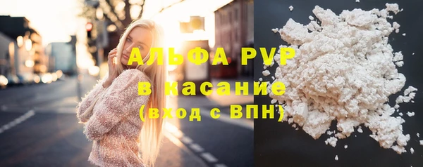 2c-b Инсар